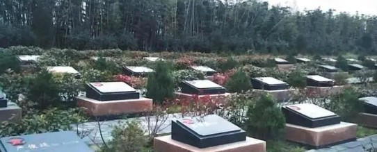 林语堂墓地：两次获诺贝尔文学奖提名，逝世后安葬在故居后院525-金南山绿色墓园