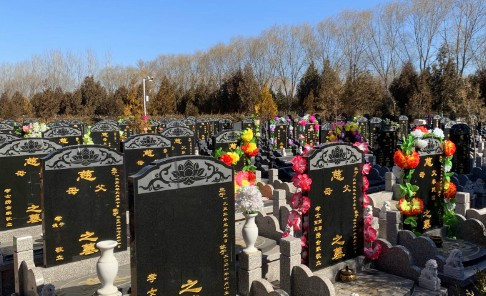 殡葬改革存在问题及对策建议-镐京骨灰公墓