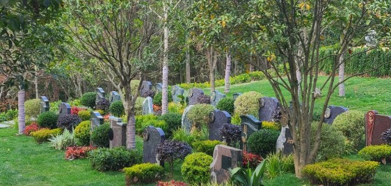 西安九龙山公墓有多少墓穴、价格