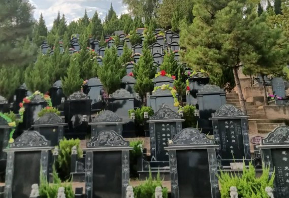西安生态葬之什么是树葬？树葬的来源-枣园山生态人文纪念园